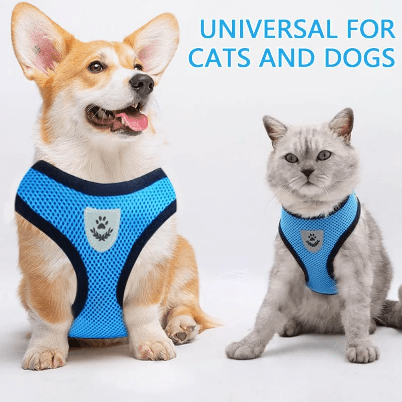 Pets Fashions - My Pet Spot