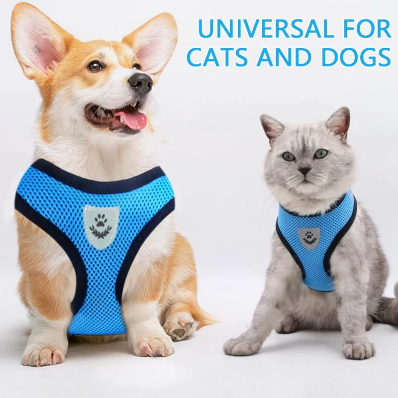 Pets Fashions