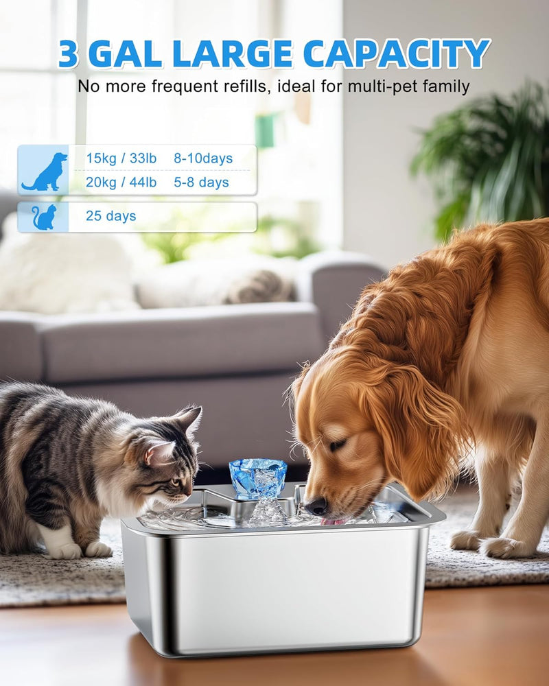 Top Pet Apparel & Accessories