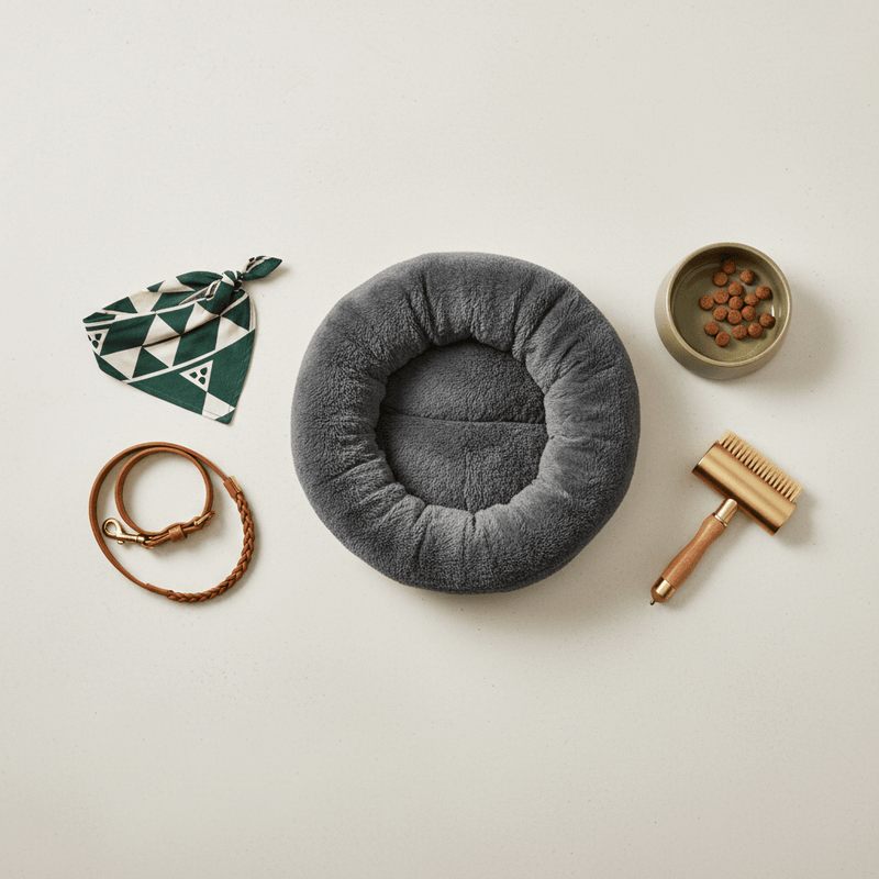 Best Pet Accessories - My Pet Spot