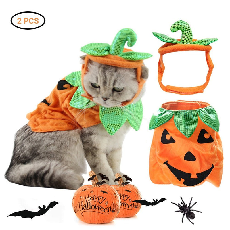 Halloween Pet Costumes - My Pet Spot