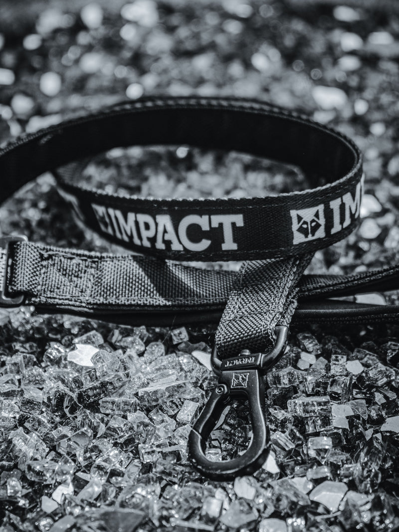 Dog Collars & Leashes