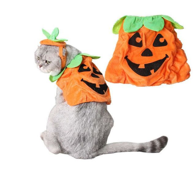 Halloween Pumpkin Pet Costume – Hat & Dress Set for Cats & Small Dogs