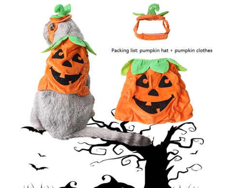 Halloween Pumpkin Pet Costume – Hat & Dress Set for Cats & Small Dogs