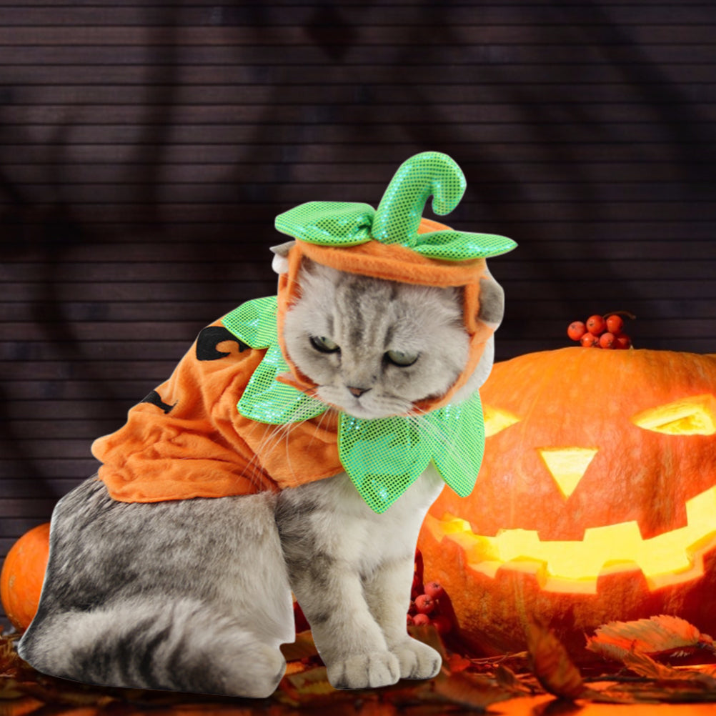 Halloween Pumpkin Pet Costume – Hat & Dress Set for Cats & Small Dogs