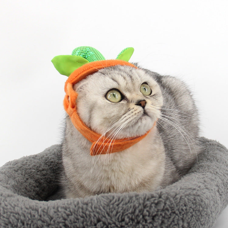 Halloween Pumpkin Pet Costume – Hat & Dress Set for Cats & Small Dogs