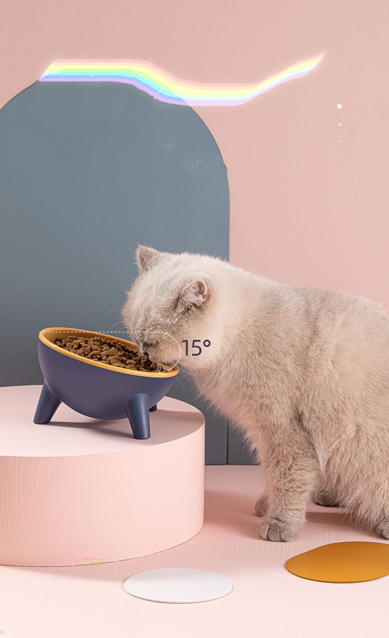 Pet Bowl With Stand – Elevated Feeding Bowl for Cats & Dogs