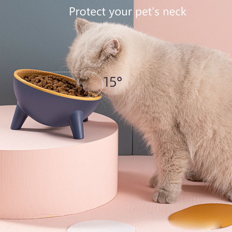 Pet Bowl With Stand – Elevated Feeding Bowl for Cats & Dogs