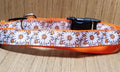 White & Orange Daisy Dog Leash – Large 6ft Heavy Duty