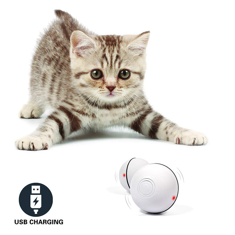 LED Laser Rolling Cat Toy Ball – Interactive Electronic Pet Toy