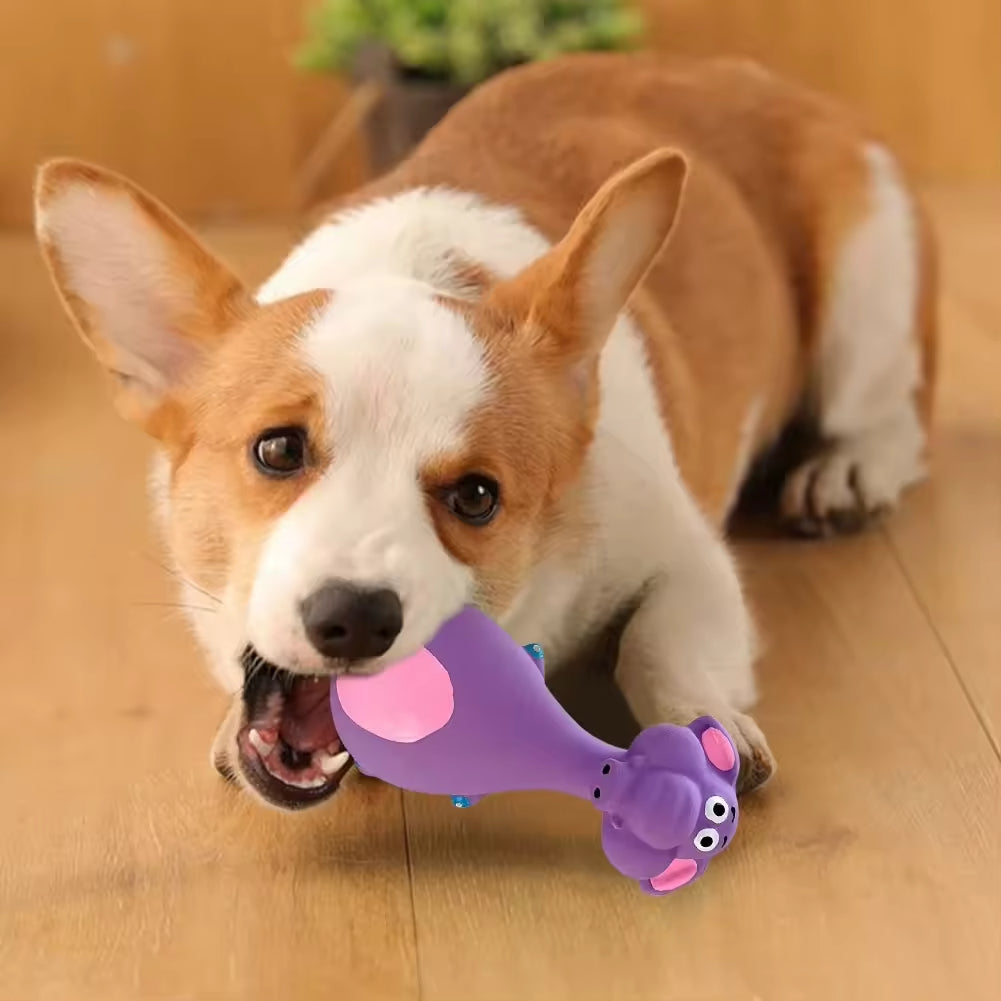 4-Piece Latex Squeaky Dog Chew Toy Set – Interactive Biting Toys