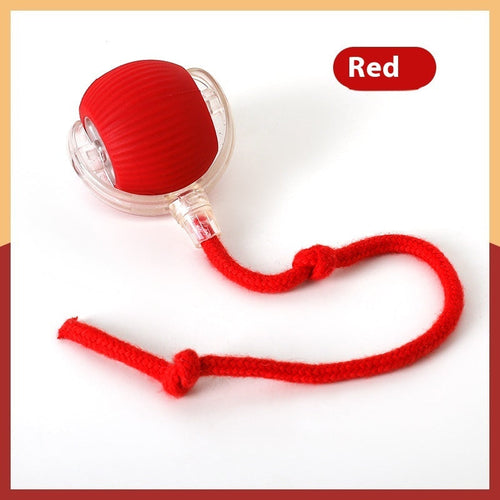 Interactive Cat Toy Ball – Super Drive Rolling Ball with Chirping & Auto Wake-Up