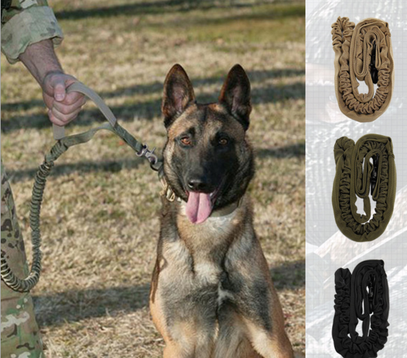 Reflective Dog Leash – High Visibility Safety Leash for Dogs
