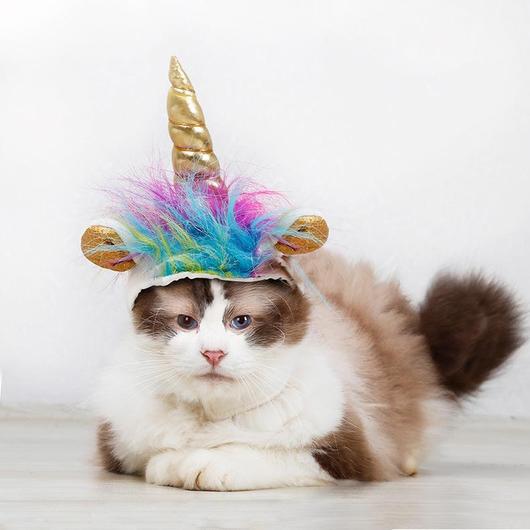Unicorn VS Devil Halloween Pet Costume Hat