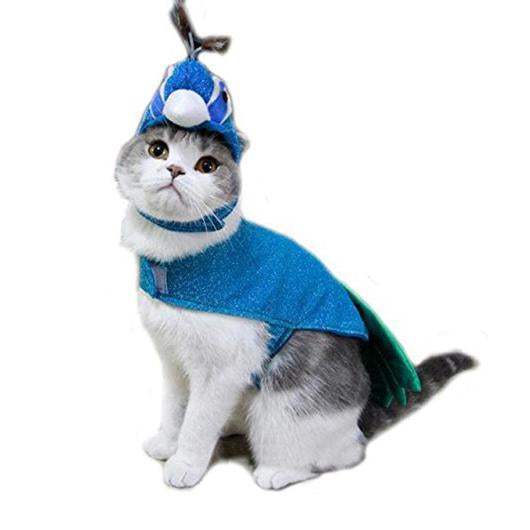Cat wearing a blue superhero costume with cape and mask on a white background