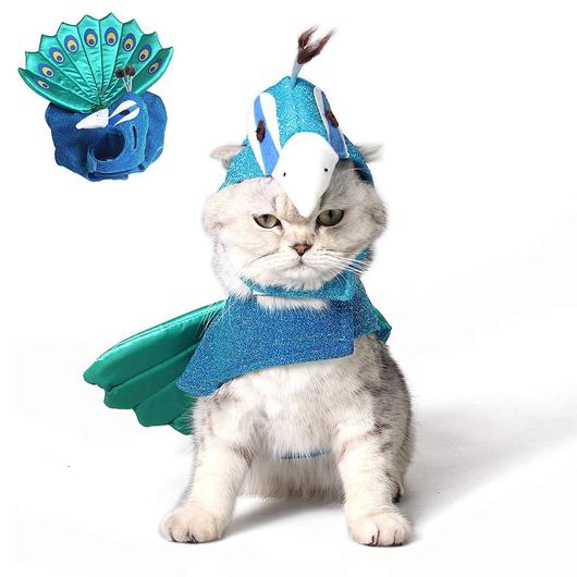 Cat wearing a peacock costume with a headpiece on a white background