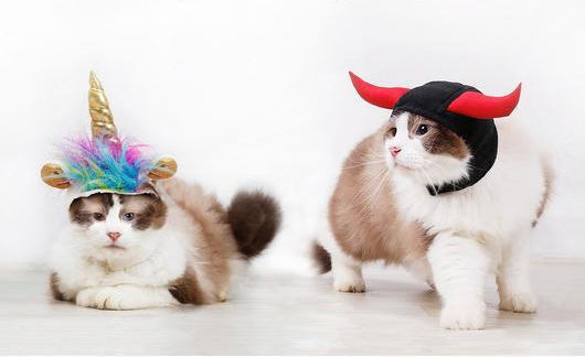 Unicorn VS Devil Halloween Pet Costume Hat