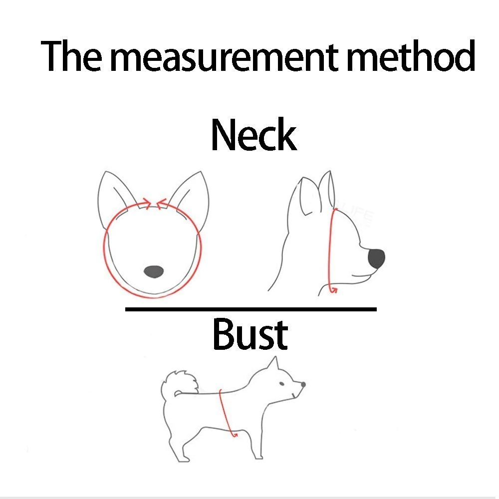 Adjustable Reflective Pet Harness & Leash Set – S/M/L/XL