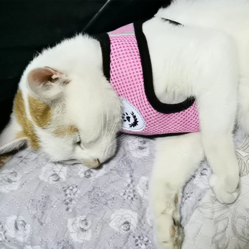 Adjustable Reflective Pet Harness & Leash Set – S/M/L/XL