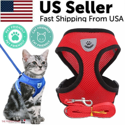 Adjustable Reflective Pet Harness & Leash Set – S/M/L/XL