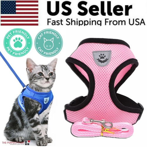 Adjustable Reflective Pet Harness & Leash Set – S/M/L/XL