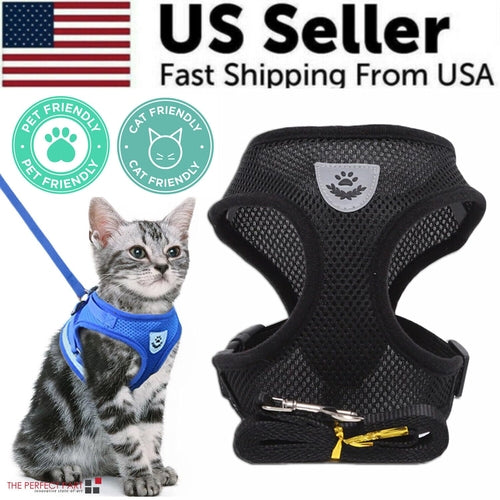 Adjustable Reflective Pet Harness & Leash Set – S/M/L/XL