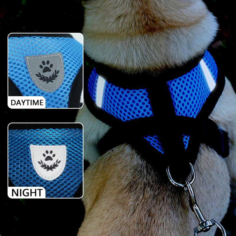 Adjustable Reflective Pet Harness & Leash Set – S/M/L/XL