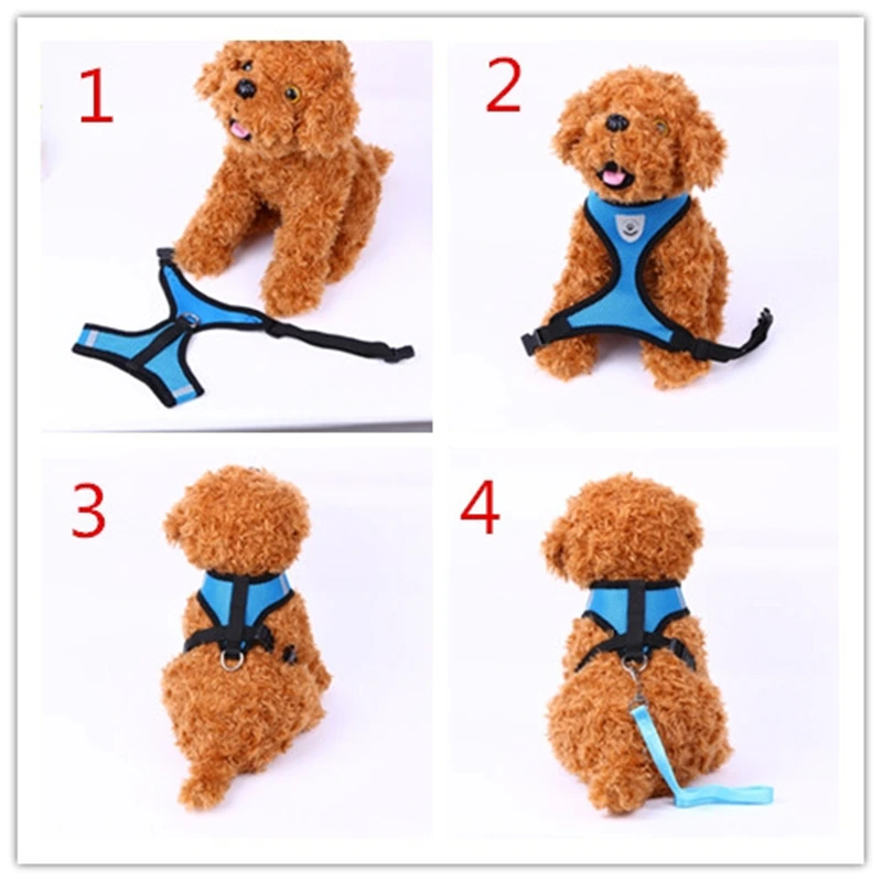 Adjustable Reflective Pet Harness & Leash Set – S/M/L/XL