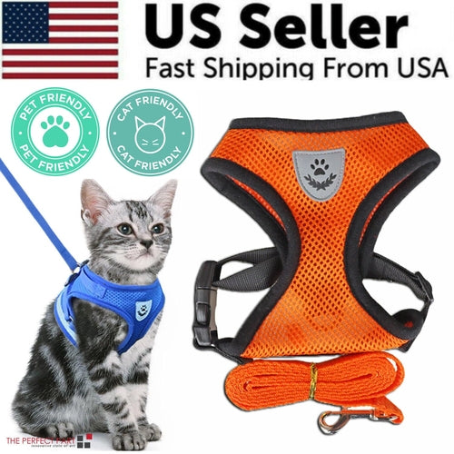 Adjustable Reflective Pet Harness & Leash Set – S/M/L/XL
