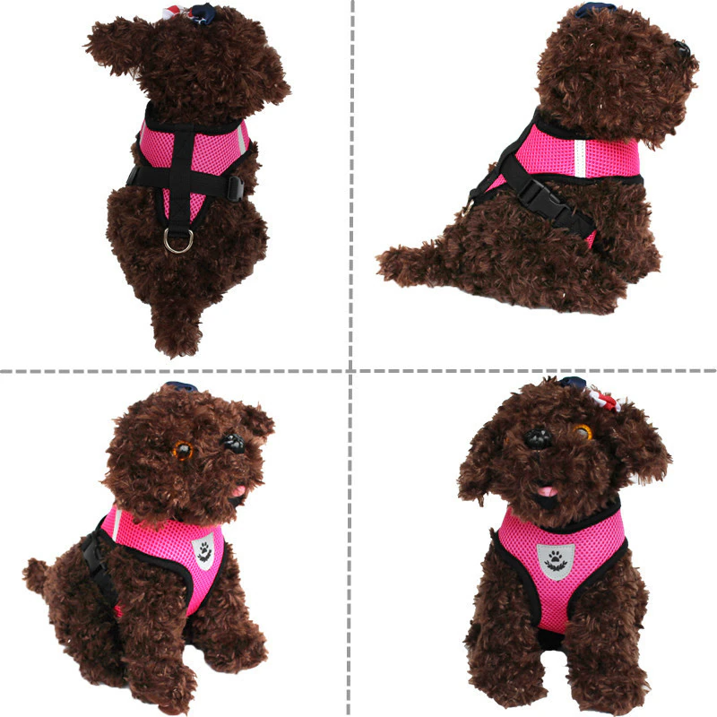 Adjustable Reflective Pet Harness & Leash Set – S/M/L/XL