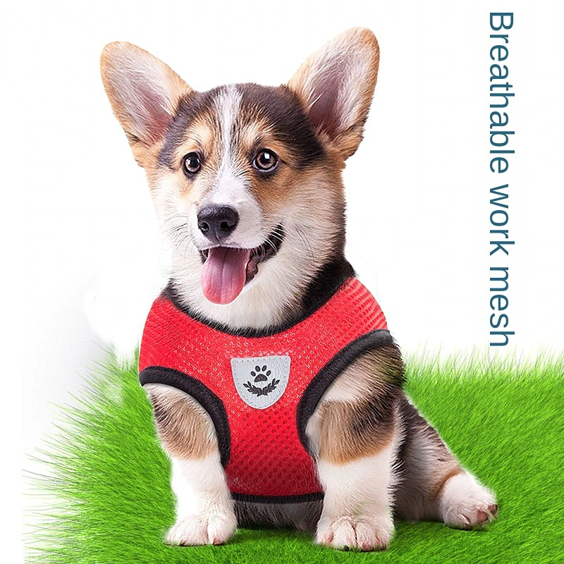 Adjustable Reflective Pet Harness & Leash Set – S/M/L/XL