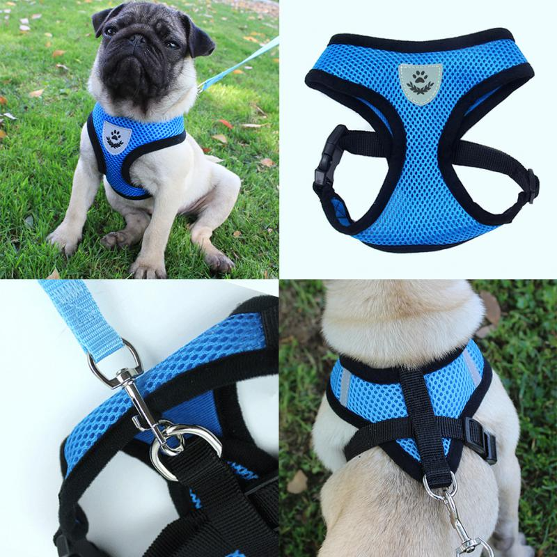 Adjustable Reflective Pet Harness & Leash Set – S/M/L/XL