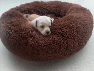 Donut Cuddler Round Dog Bed – Ultra Soft Calming Pet Kennel