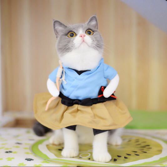 Cute Pet Costumes – Funny & Adorable Cat & Dog Outfits