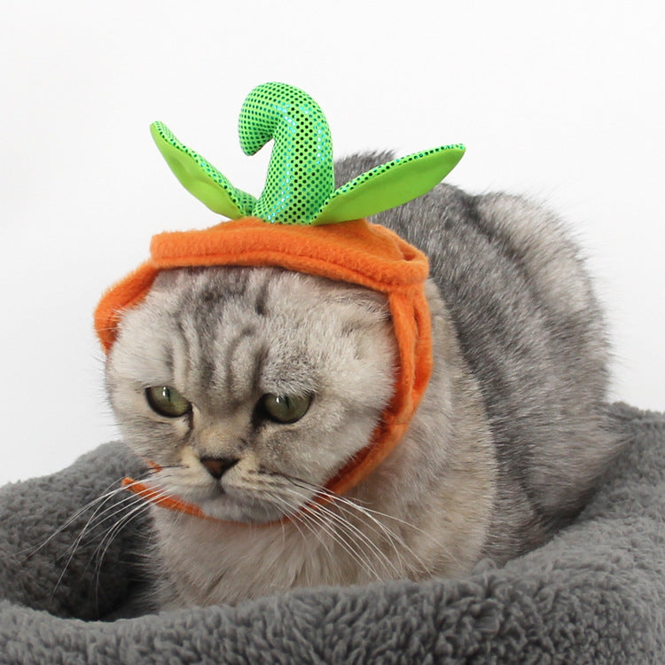 Halloween Pumpkin Pet Costume – Hat & Dress Set for Cats & Small Dogs