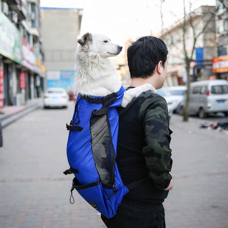 Double Shoulder Pet Carrier Backpack for Dogs & Cats