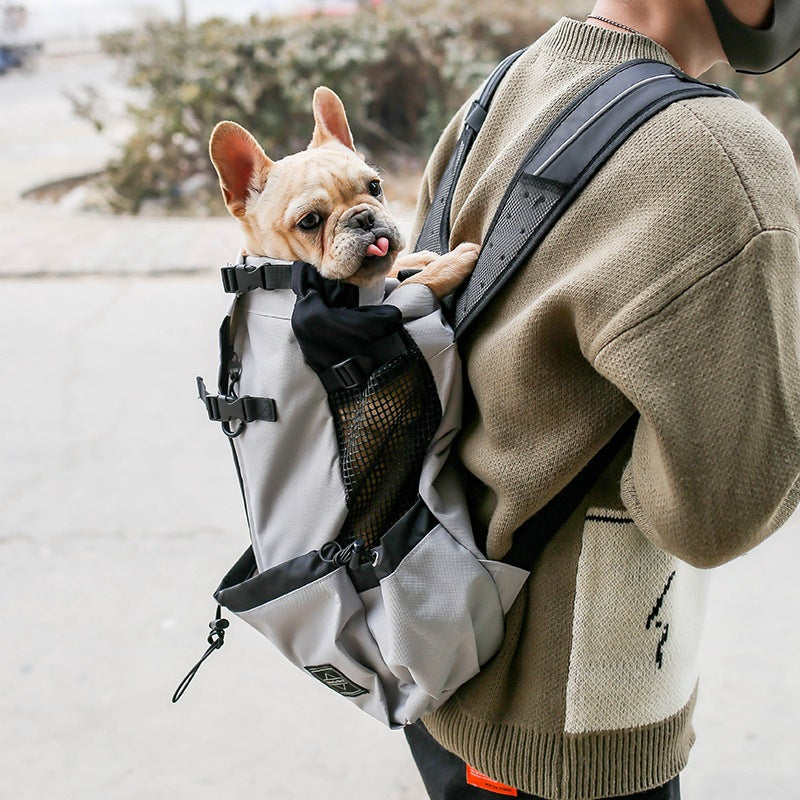 Double Shoulder Pet Carrier Backpack for Dogs & Cats