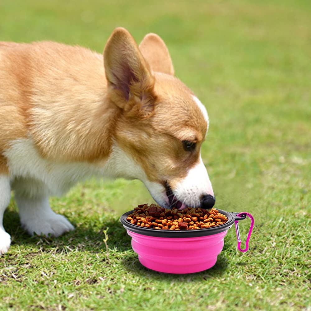 Foldable Dog Bowl Set of 5 – Portable 5" Silicone Travel Bowls