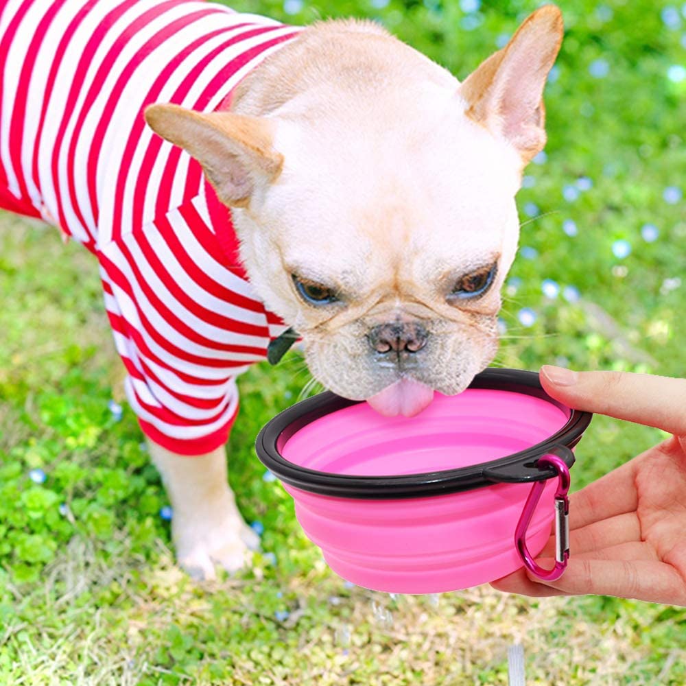 Foldable Dog Bowl Set of 5 – Portable 5" Silicone Travel Bowls