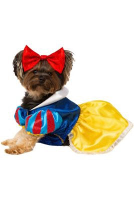 Dog wearing a Snow White costume with a red bow on a white background