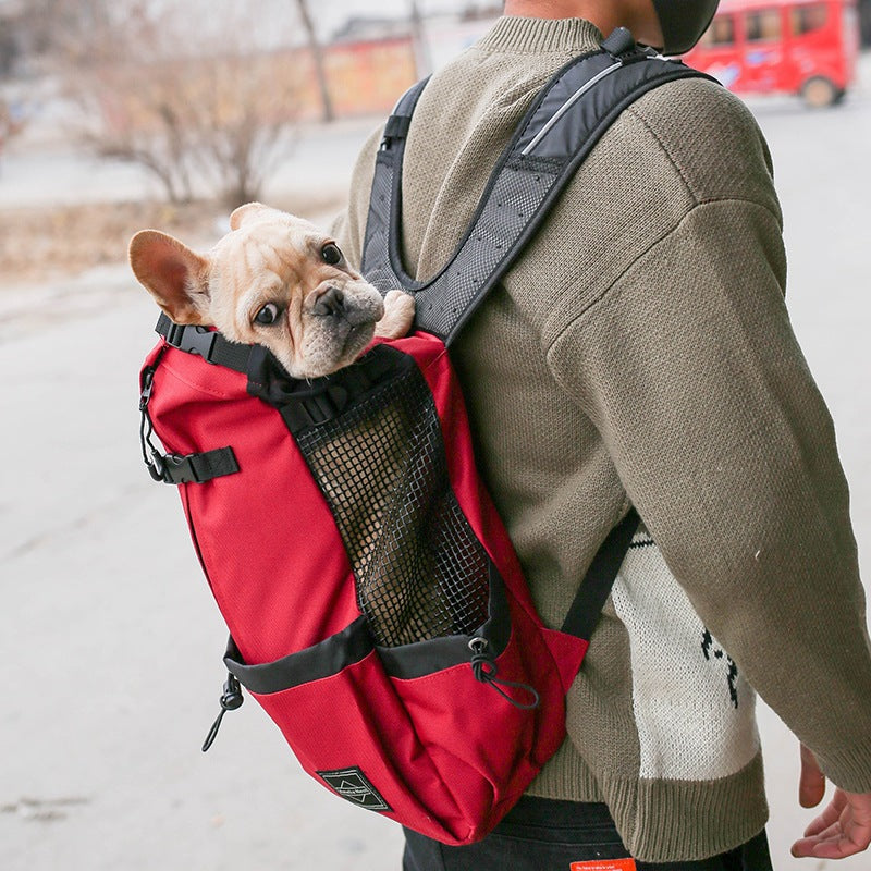 Double Shoulder Pet Carrier Backpack for Dogs & Cats
