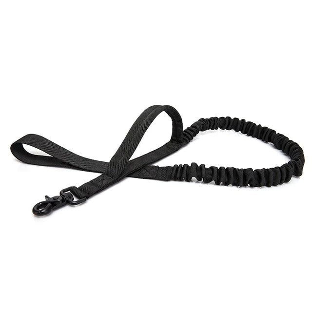 Reflective Dog Leash – High Visibility Safety Leash for Dogs