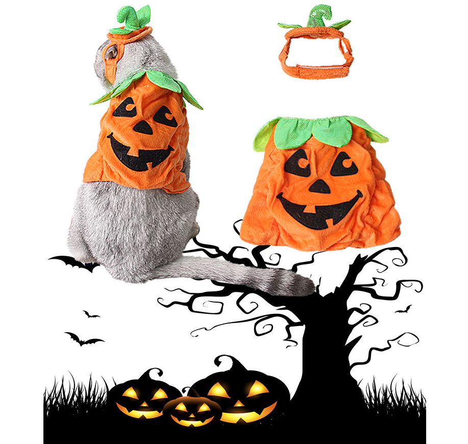 Halloween Pumpkin Pet Costume – Hat & Dress Set for Cats & Small Dogs
