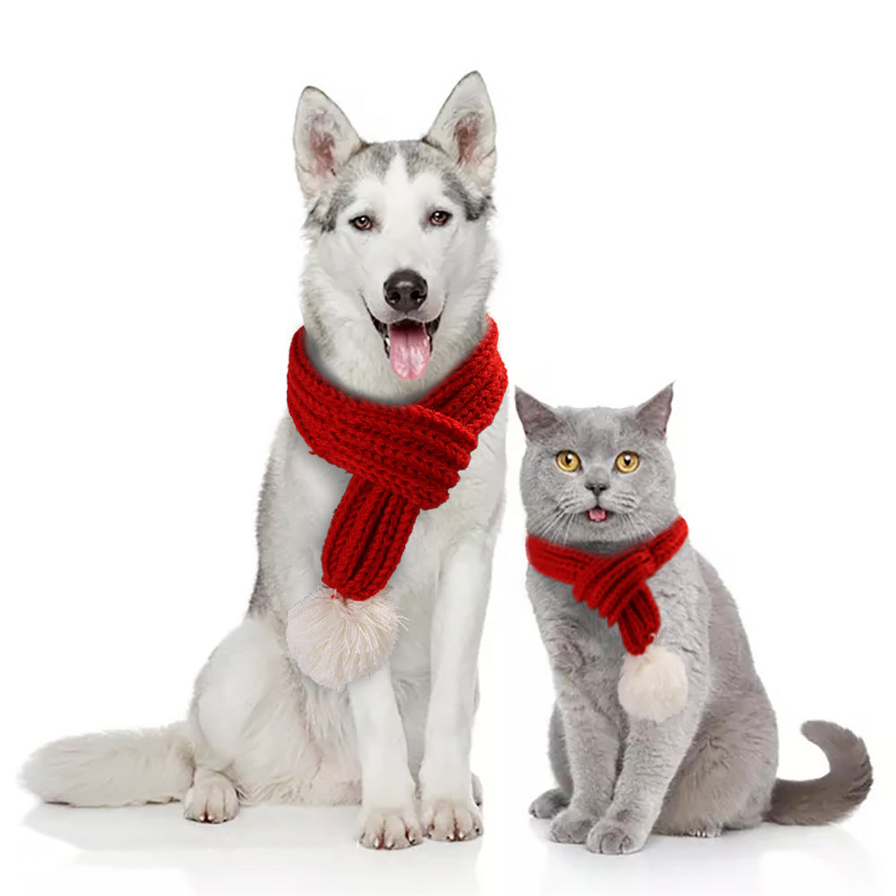 Dog and cat wearing red scarves on a white background