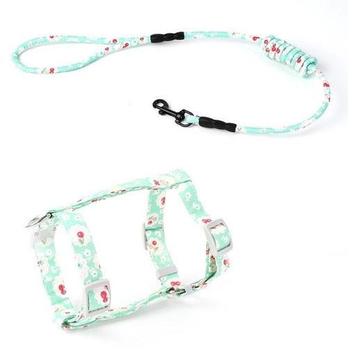 Colorful Puppy & Cat Chest Harness with Lead – Adjustable Nylon Strap
