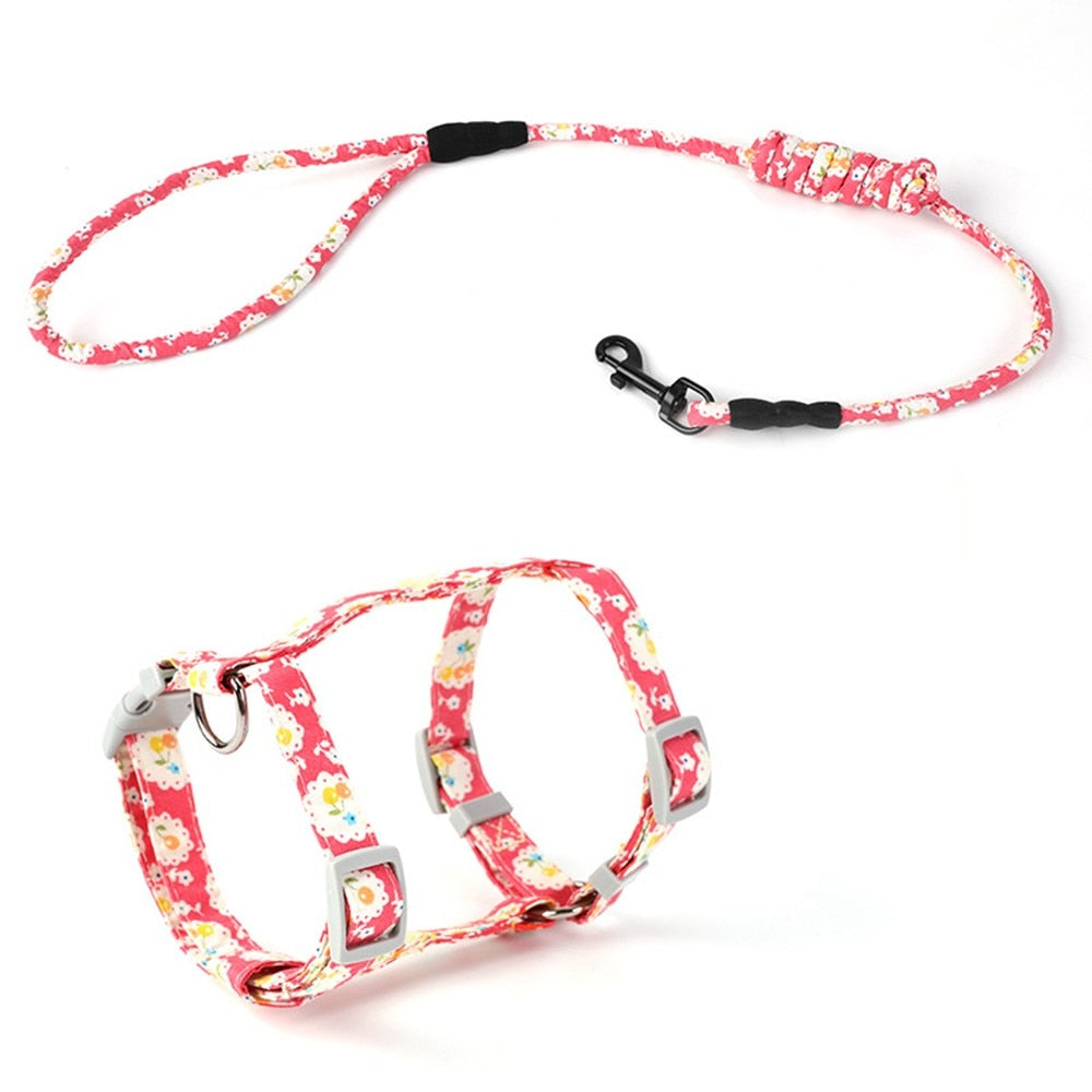 Colorful Puppy & Cat Chest Harness with Lead – Adjustable Nylon Strap