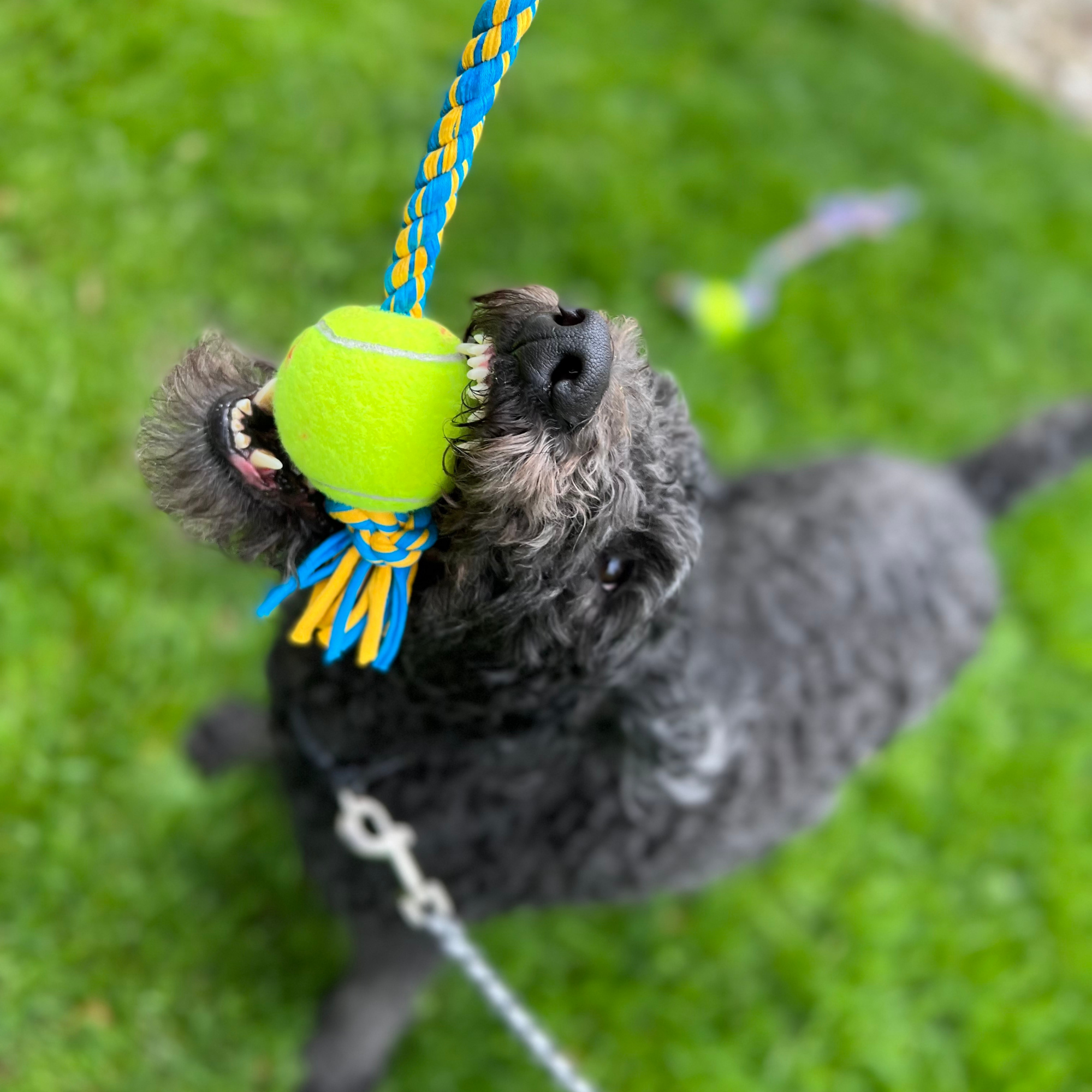 ReRope Large Looper Upcycled Fabric Rope Dog Toy