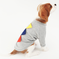 Halloween Pet Costume Set – T-Shirt & Sleeveless Outfit for Dogs