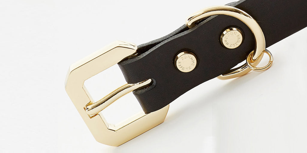 Golden Spike Black Leather Dog Collar - Handmade Vegetable-Tanned