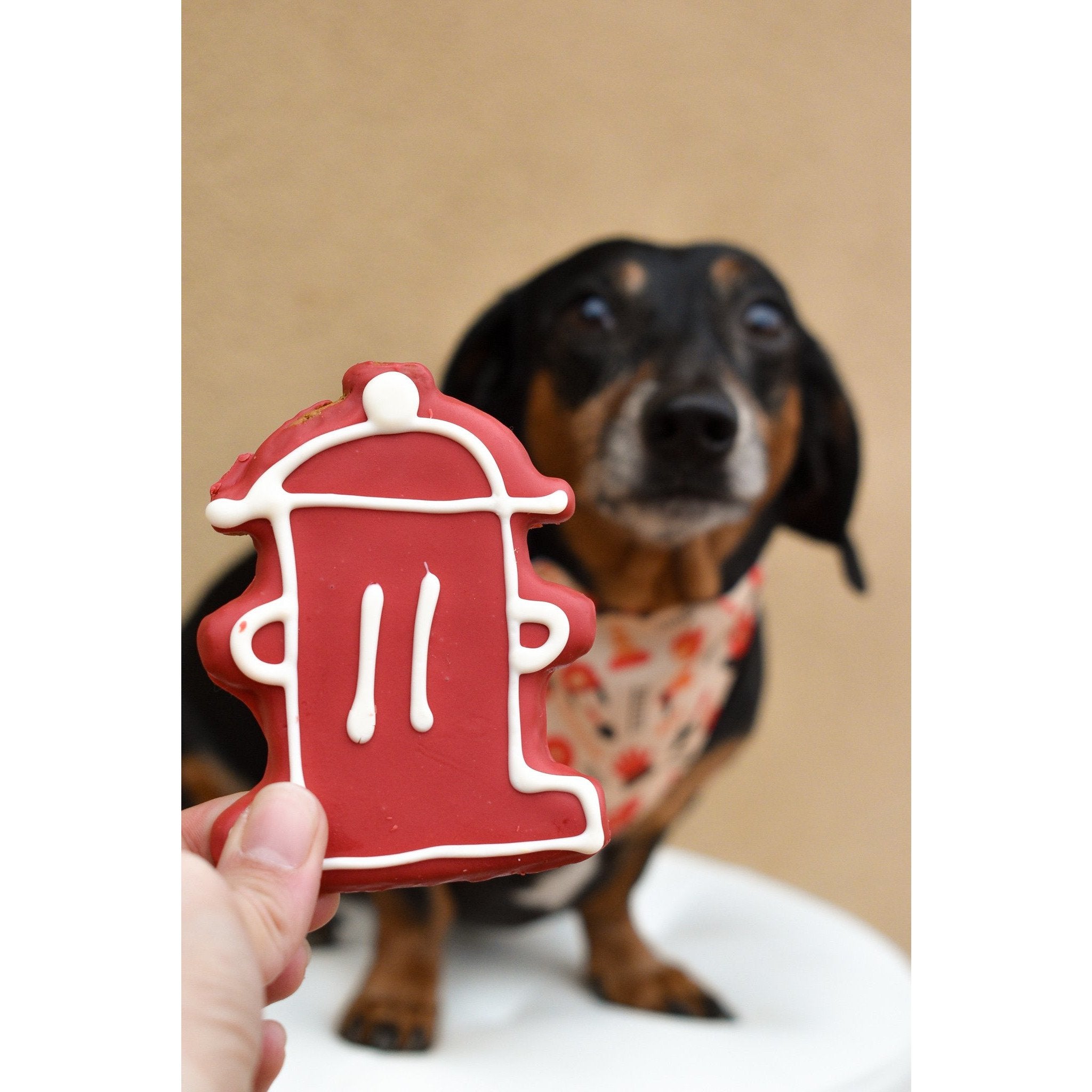 Fire Dog Bandana – Reversible Firefighter Dog Bandana